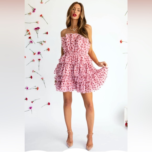 Vici Dresses & Skirts - NWT Vici Heartbreaker Tulle Mini Dress
